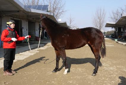 �׷������ ����