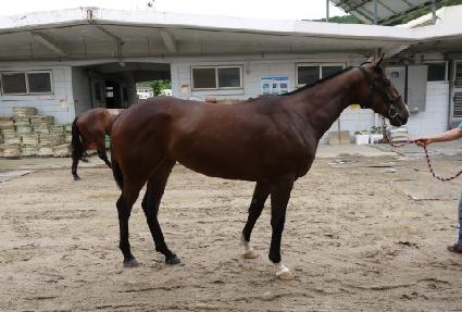 ��ƼǮ�� ����