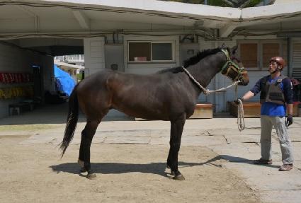 ��ȭ���� ����