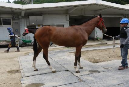 ���ڿ��� ����