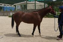 ��ȭ��� (BONGHWA SARANG) ����