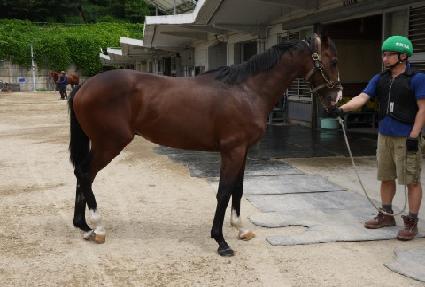 ���������� ����