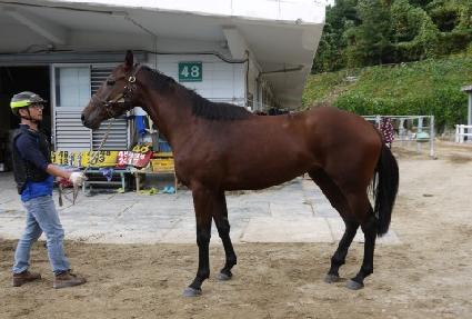 ���������� ����