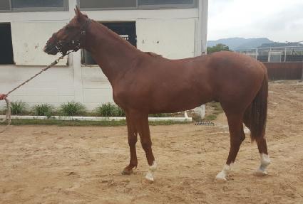 ������ ����