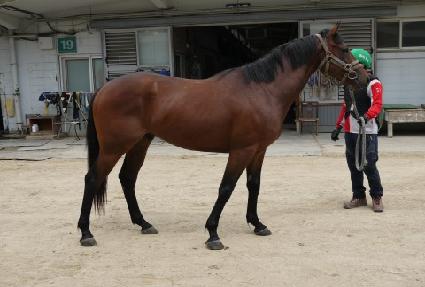 ��Ÿȣũ ����