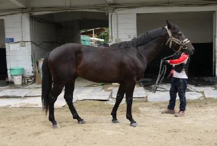 ������ ����