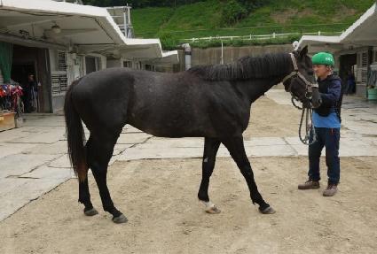 �����Ϸ��� ����