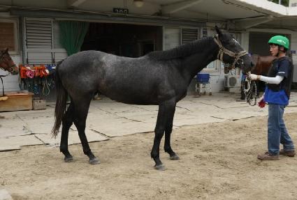 ���è�� ����