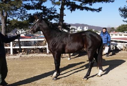 �����ε�� ����