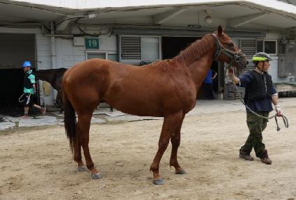 ������Ʈ ����