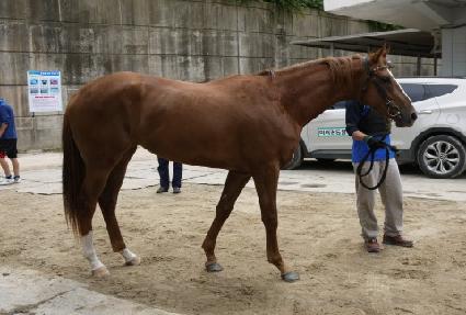 ��Ű���� ����