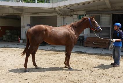 �����ǵ�� ����