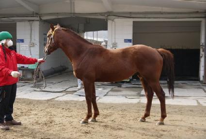 ����Ÿ ����