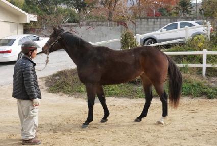 ���ö��� ����