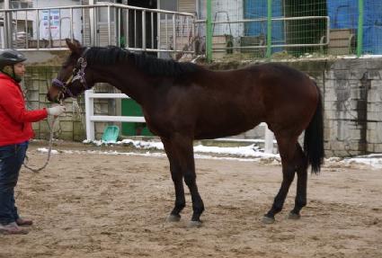 ��þط��� ����