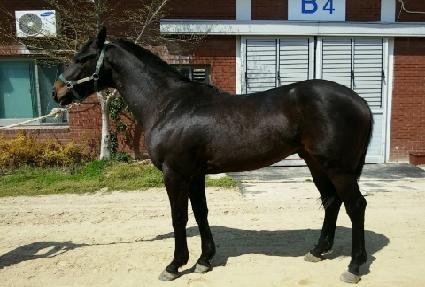 ���ڽ� ����