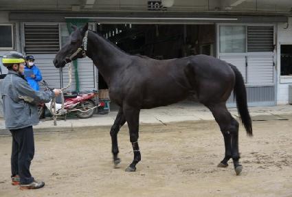 ���ٸ����� ����