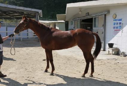 �÷�ǮĹ ����