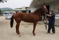 ��Ʈ���� (SHORT STOP) ����