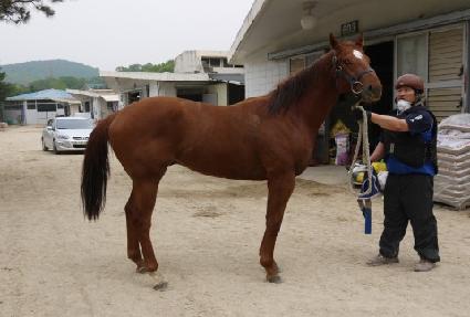 ��Ʈ���� ����