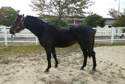 �ִ��� ����