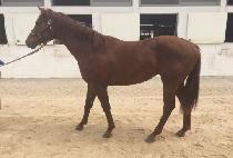 �Ѿ������� (HANEOLUI JILJU) ����