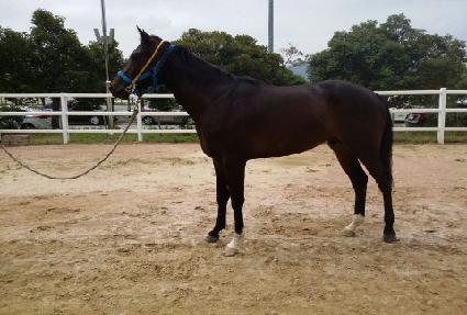 ������ڼ� ����