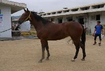 ��ũ����Ÿ�� (SECRET FANTASY) ����