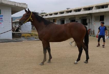 ��ũ����Ÿ�� ����