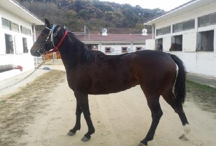 �ƽ� ����