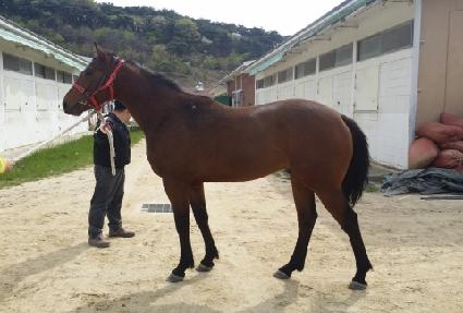 ��Ȳ�ǲ� ����