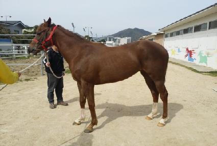 ���� ����