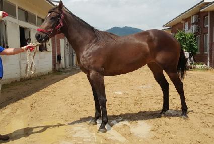 ��������� ����