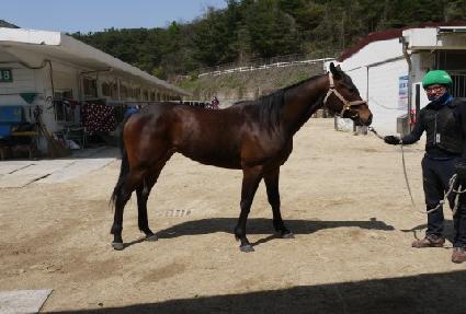 ������ ����