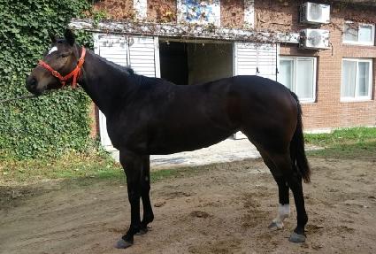 ���ƿ°��� ����