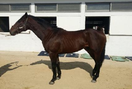 ����� ����