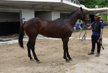 �������Ʈ ����