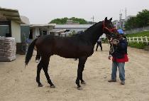 �帲���� (DREAM SLEW) ����