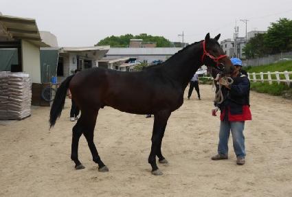 �帲���� ����