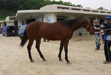 �ݻ��� ����