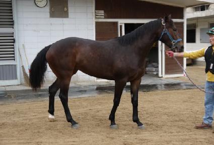 ���ƸӴ� ����