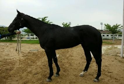 �׷���Ʈ�� ����