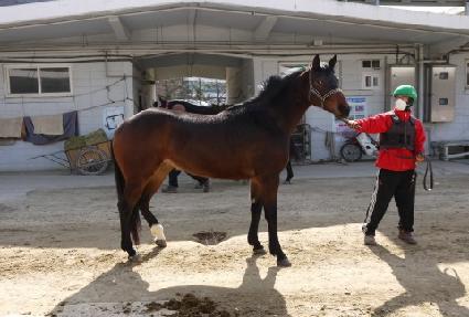 ��ƶ���� ����