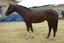 ��Ʈ������ (ULTRA PICO) ����