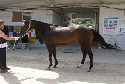 ���̽� ����