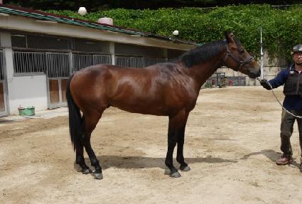 ��ƶ�õ�� ����