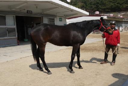 ��ƶ󿩿� ����