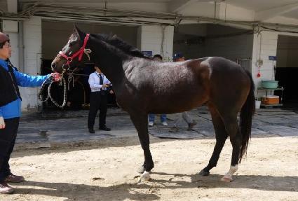 â���Ľ� ����