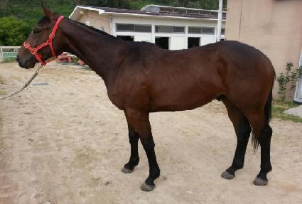 ��ٸ����� ����