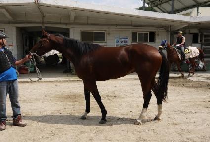 ������Ʈ ����